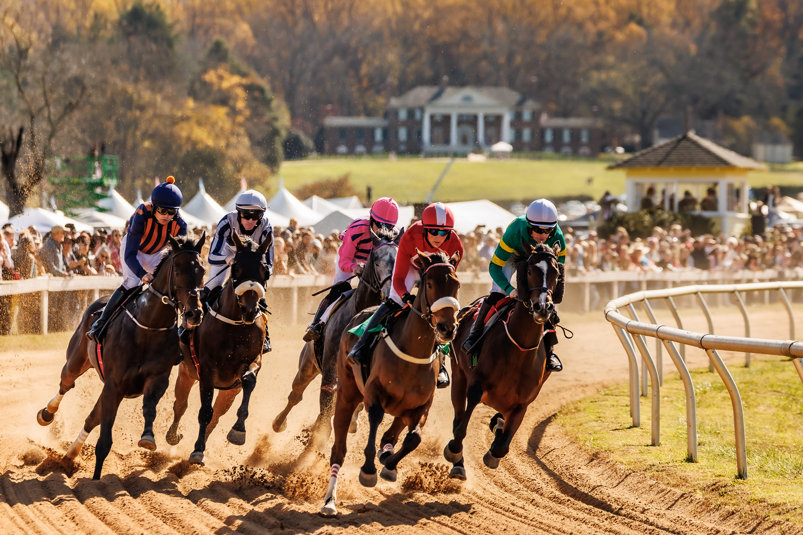 Featured image for “Ninety Years of Montpelier Races Honor Orange County Heritage”
