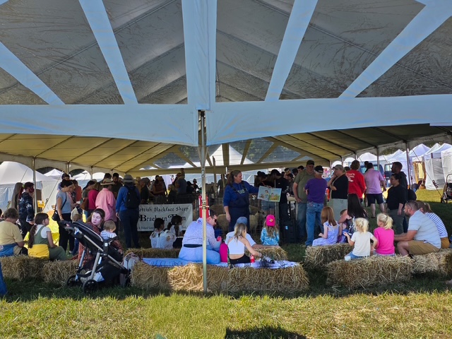 Featured image for “Fall Fiber Festival Weaves Art and Agriculture Together”